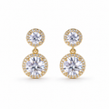 Double Drop Earrings