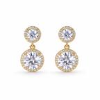 Double Drop Earrings