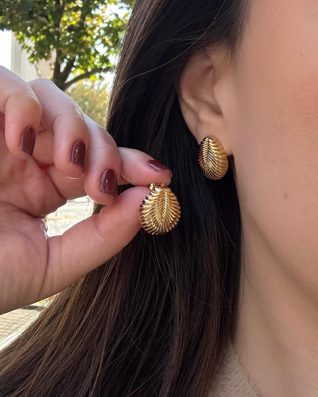 Golden Seashell Earrings